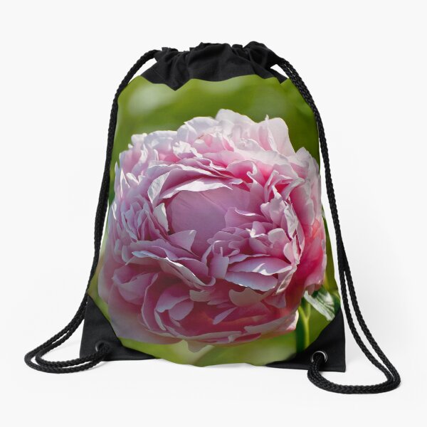 Item preview, Peony designed and sold by Michael Cummings.