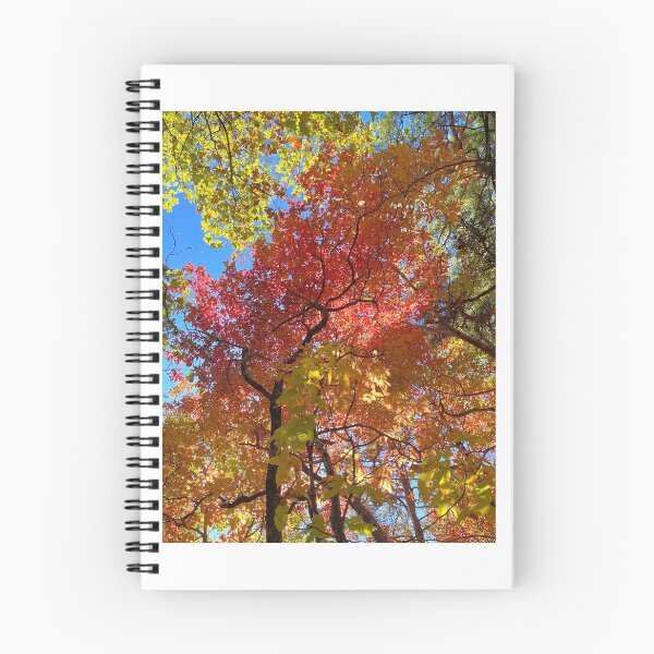 Item preview, Autumnal designed and sold by Jason Tompkins.