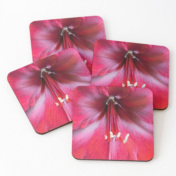 Item preview, Amaryllis designed and sold by Lauviahsdesign.