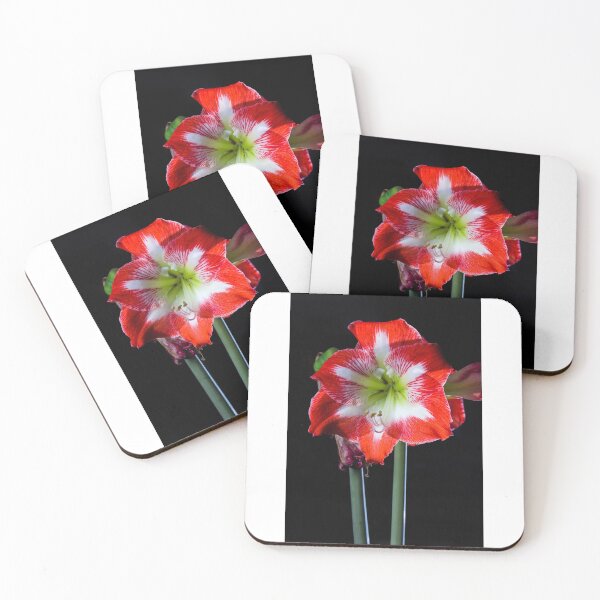 Item preview, Amaryllis designed and sold by Lauviahsdesign.