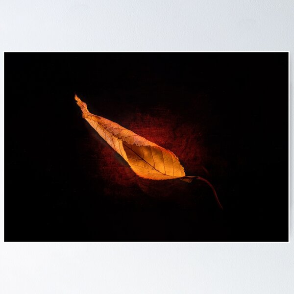 Item preview, Luminous autumn leaf designed and sold by gelibolu.