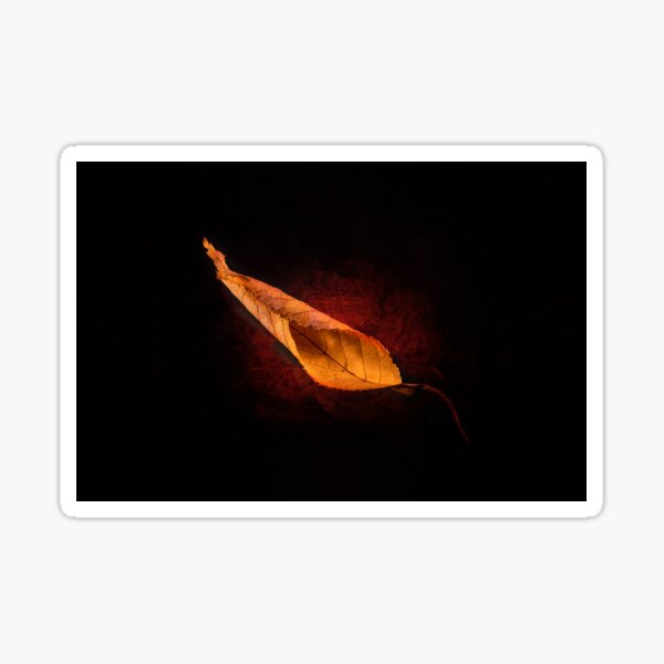 Item preview, Luminous autumn leaf designed and sold by gelibolu.