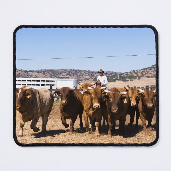 Item preview, Cowboy and cows designed and sold by OrcaNature.