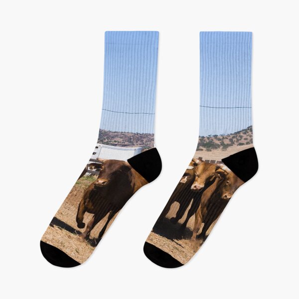 Item preview, Cowboy and cows designed and sold by OrcaNature.
