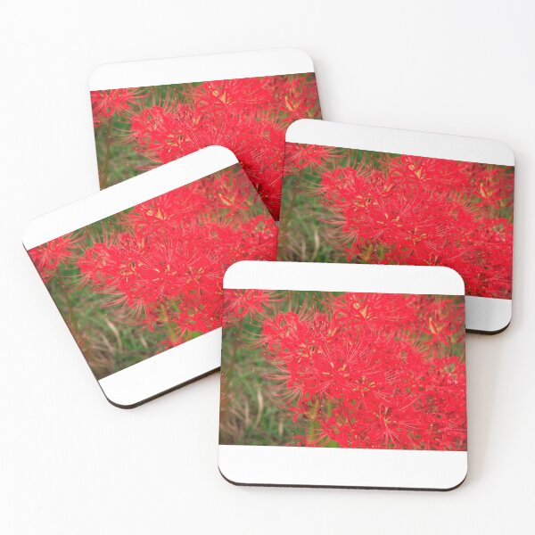 Item preview, Amaryllis designed and sold by Lauviahsdesign.