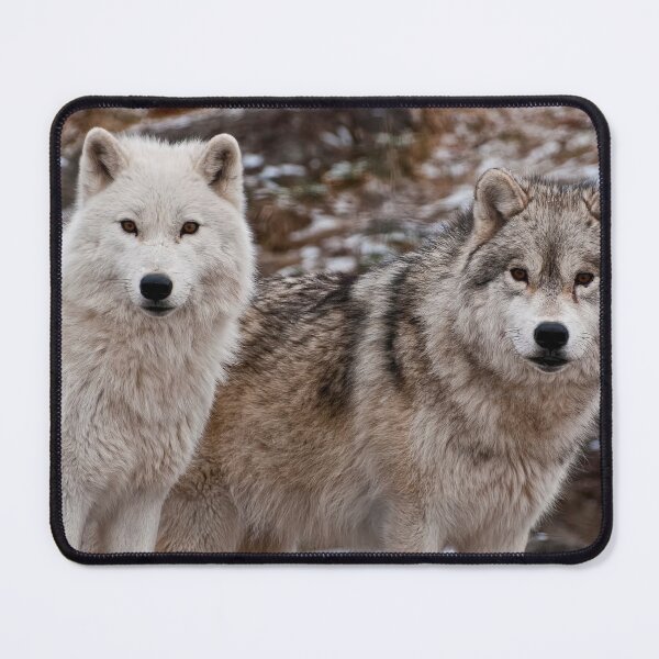 Item preview, Double Trouble designed and sold by Michael Cummings.
