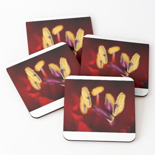 Item preview, Amaryllis designed and sold by Lauviahsdesign.