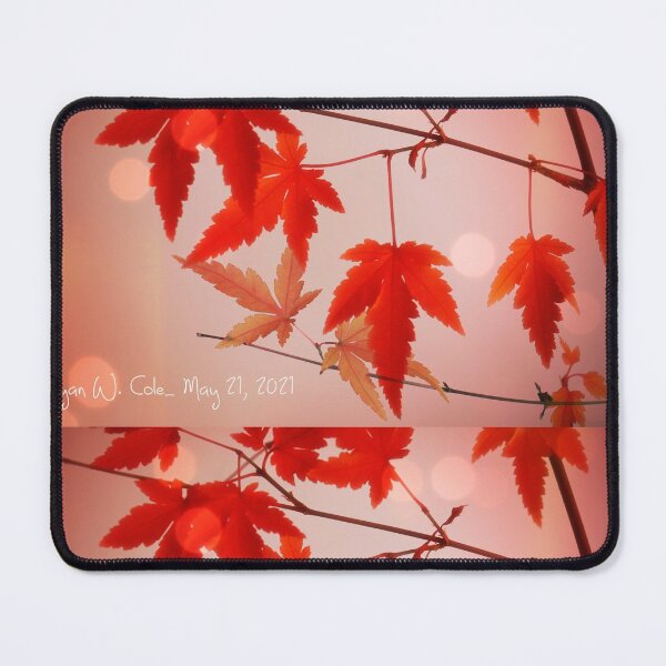 Item preview, Fall colors - Japanese Maples designed and sold by Bryan W. Cole.