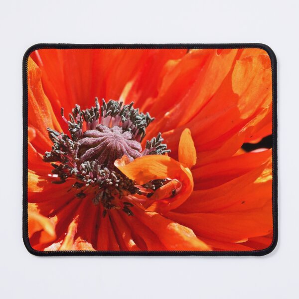 Item preview, Poppy Frills designed and sold by Linda Bianic.