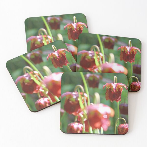 Item preview, Amaryllis designed and sold by Lauviahsdesign.
