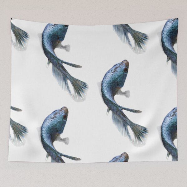 Item preview, Beautiful Blue Betta fish (select own background color) - Fish Art designed and sold by AlexSin.