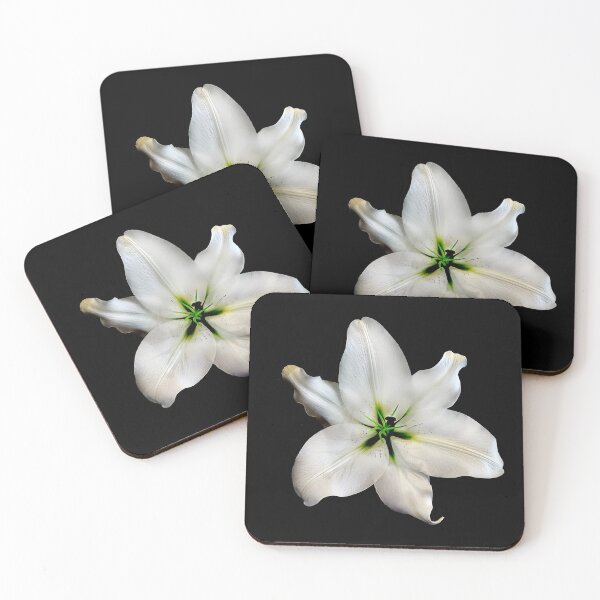 Item preview, Single isolated White Madonna Lily on black. designed and sold by sunnypicsoz.