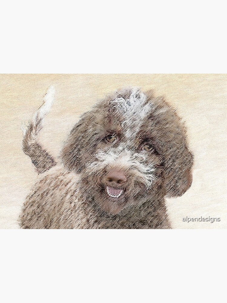 Lagotto best sale romagnolo painting