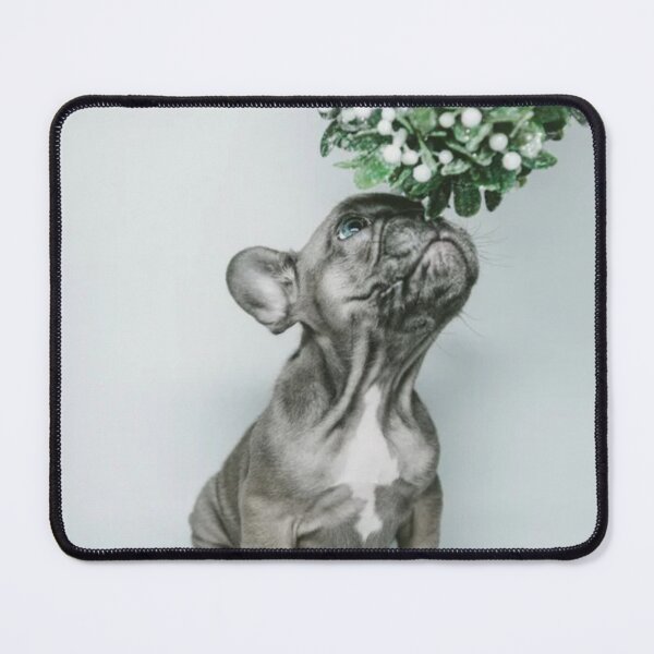 Item preview, Cute Dog Under The Mistletoe For Christmas designed and sold by Teepocalypse.