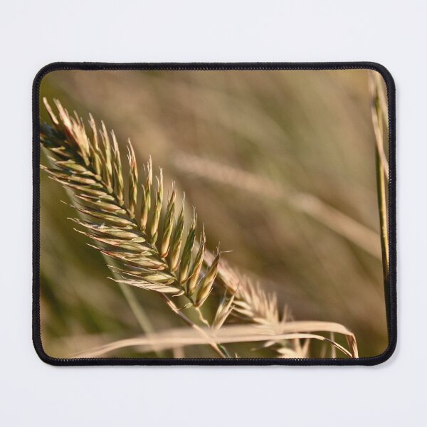 Item preview, Autumn Grasses designed and sold by Linda Bianic.