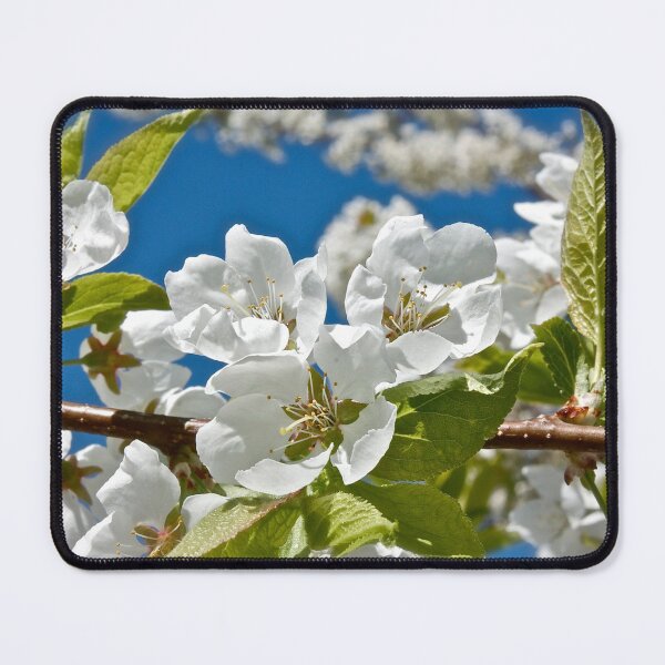 Item preview, Plum Tree Blossoms designed and sold by Linda Bianic.