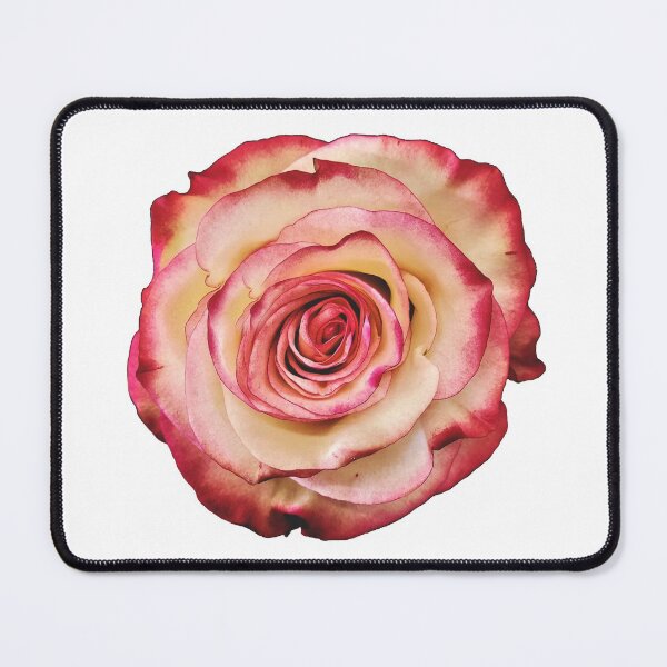 Item preview, Radiant Rose designed and sold by TheArtImp.