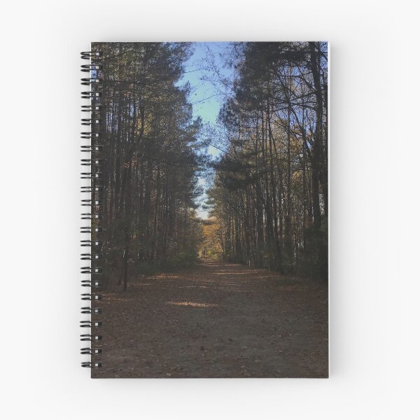 Item preview, Forested path designed and sold by KyleLemieux.