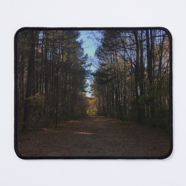 Item preview, Forested path designed and sold by KyleLemieux.