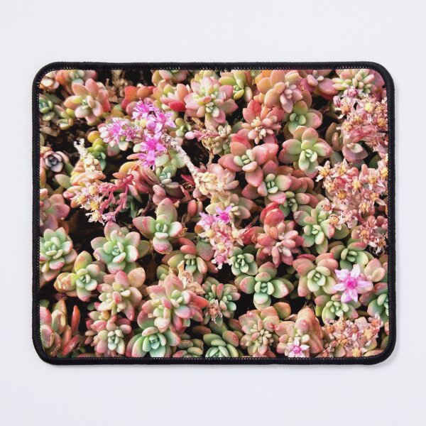 Item preview, Pink Carpet of Stonecrop designed and sold by TheArtImp.