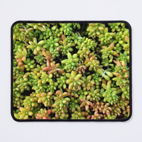 Item preview, Carpet of Stonecrop designed and sold by TheArtImp.