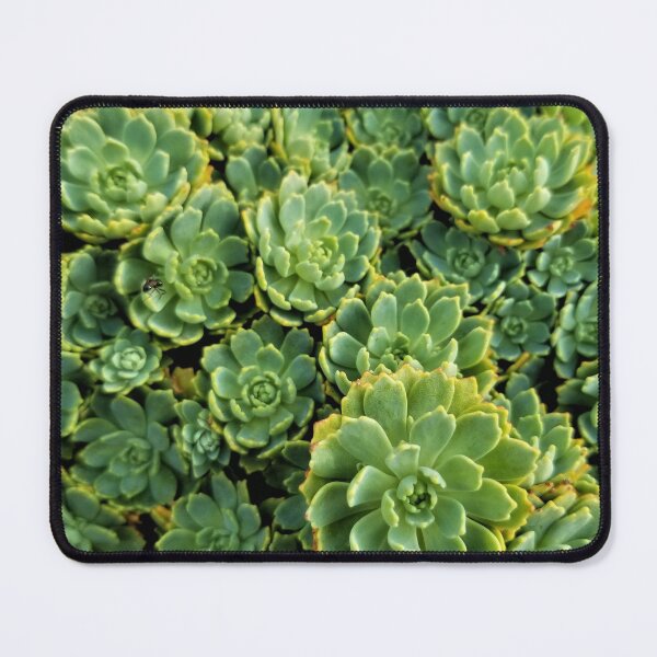 Item preview, Supple Succulents designed and sold by TheArtImp.
