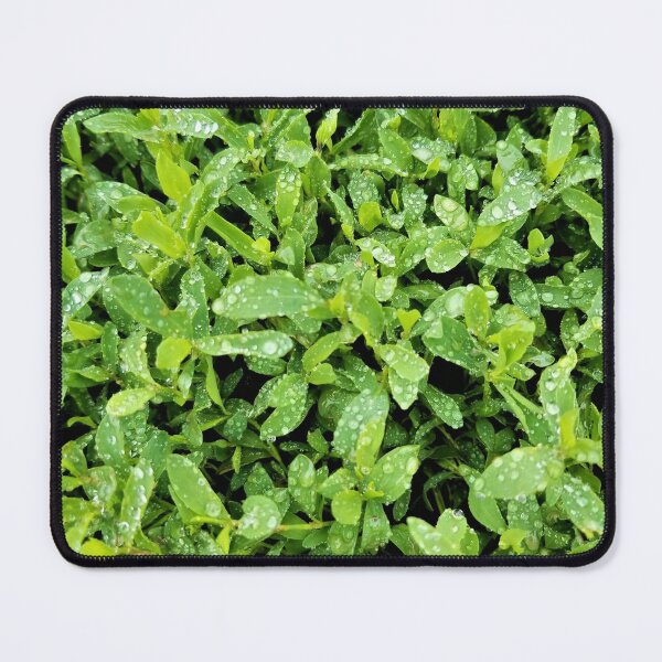 Item preview, Dewy Lawn designed and sold by TheArtImp.