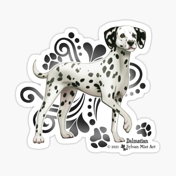 "Dalmatian Dog" Sticker by sylvanmist Redbubble