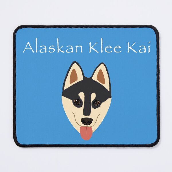 Item preview, Alaskan Klee Kai (black with brown eyes) designed and sold by Tiki-Kreations.