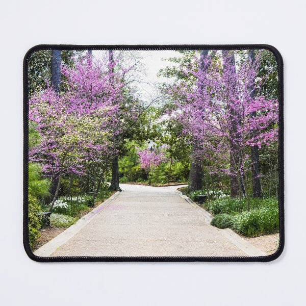Item preview, A pleasant garden path at the Bayou Bend Collection and Gardens in the River Oaks neighborhood of Houston, Texas of Houston, Texas designed and sold by OrcaNature.