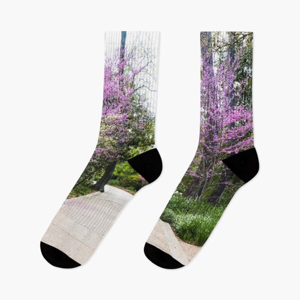 Item preview, A pleasant garden path at the Bayou Bend Collection and Gardens in the River Oaks neighborhood of Houston, Texas of Houston, Texas designed and sold by OrcaNature.