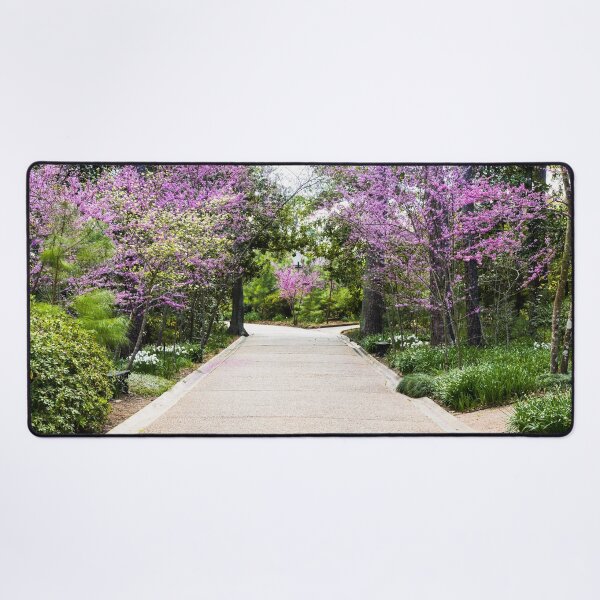 Item preview, A pleasant garden path at the Bayou Bend Collection and Gardens in the River Oaks neighborhood of Houston, Texas of Houston, Texas designed and sold by OrcaNature.
