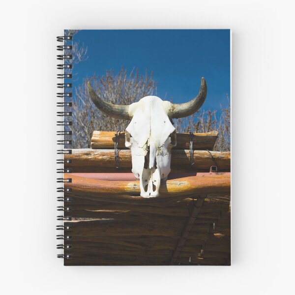 Item preview, Steer skull outside the regionally famous Cattleman's Steakhouse, which is located on old, isolated ranch several miles north of the little town of Fabens, Texas designed and sold by OrcaNature.