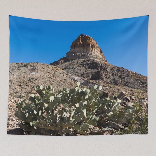 Item preview, Scenery in Big Bend National Park in the "Trans-Pecos" region of Texas designed and sold by OrcaNature.