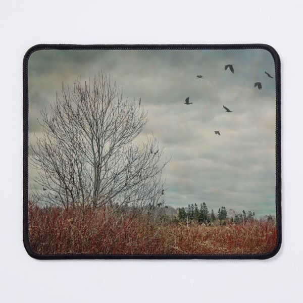 Item preview, Prince Edward Island November Landscape designed and sold by onepony.