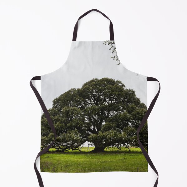 Item preview, Iconic, low-hanging Texas tree near the town of Schulenburg in Fayette County, Texas designed and sold by OrcaNature.