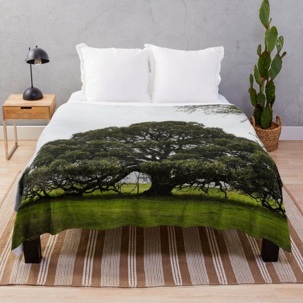 Item preview, Iconic, low-hanging Texas tree near the town of Schulenburg in Fayette County, Texas designed and sold by OrcaNature.