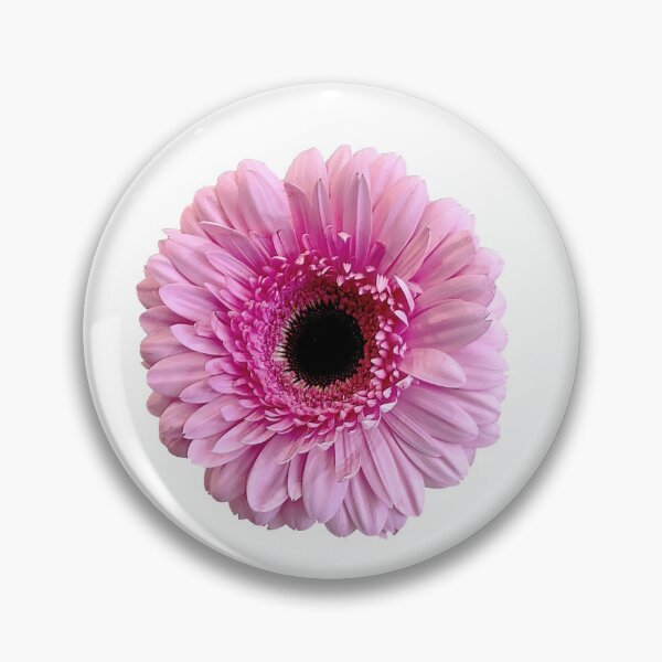 Item preview,  Single isolated Pink Gerbera Daisy flower. designed and sold by sunnypicsoz.
