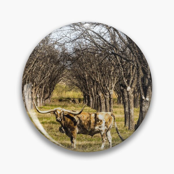 Item preview, A longhorn steer appears to pose in a thicket in rural Kinney County, Texas designed and sold by OrcaNature.