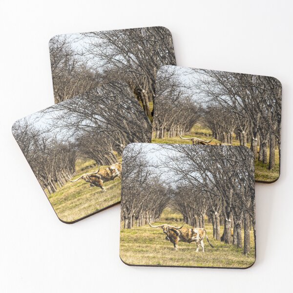 Item preview, A longhorn steer appears to pose in a thicket in rural Kinney County, Texas designed and sold by OrcaNature.