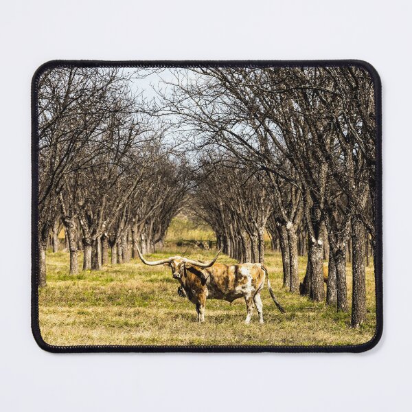Item preview, A longhorn steer appears to pose in a thicket in rural Kinney County, Texas designed and sold by OrcaNature.