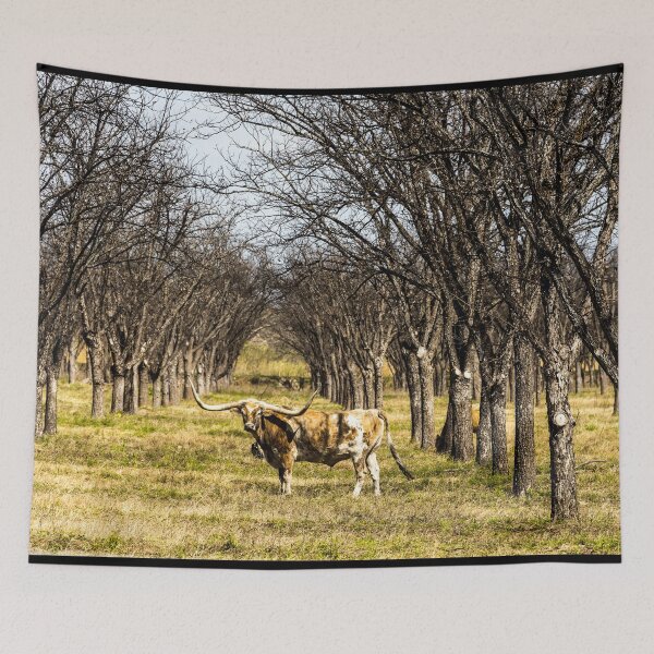 Item preview, A longhorn steer appears to pose in a thicket in rural Kinney County, Texas designed and sold by OrcaNature.