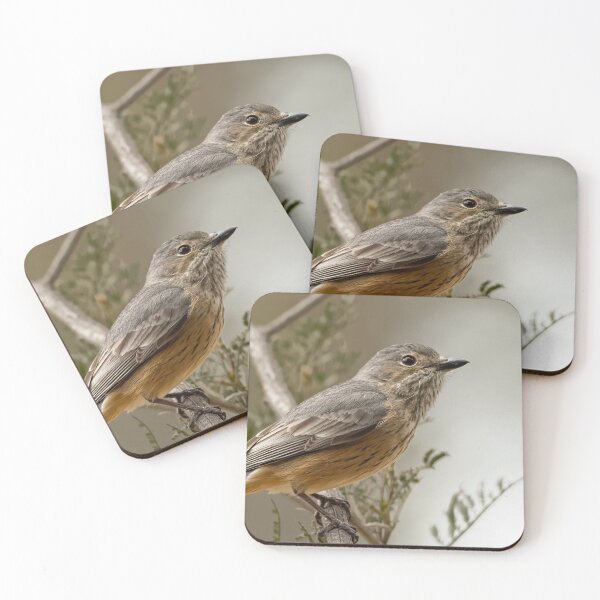 Item preview, Female Rufous Whistler designed and sold by David  Hibberd.