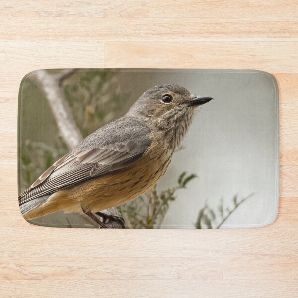 Artikelvorschau, Weiblicher Rufous-Pfeifer entworfen und verkauft von David Hibberd.