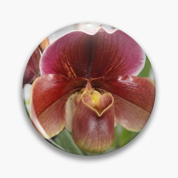 Item preview, Sienna Ladyslipper designed and sold by Kathleen Brant.