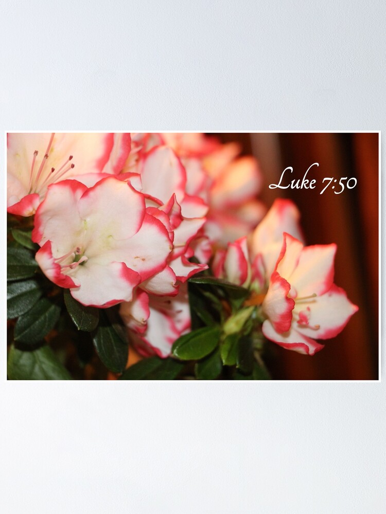 Bible verse Sticker for Sale by azaleas