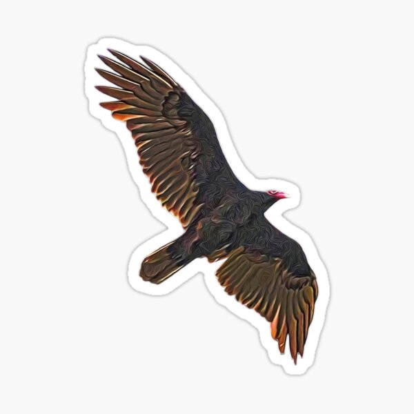 Turkey Vulture Incognito Sticker