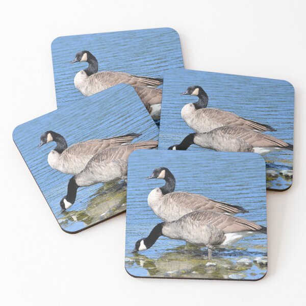 Item preview, Two Canadian Geese designed and sold by Kathleen Brant.