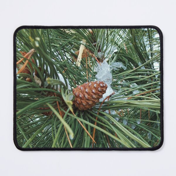Item preview, Cone of the Pine Variety designed and sold by TheArtImp.