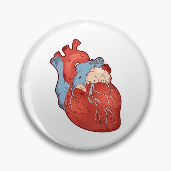 Item preview, Human Heart Anatomy Cardiology Illustration.  designed and sold by silviaol.